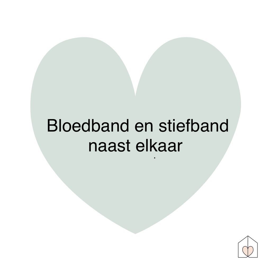 bloedband en stiefband naast elkaar