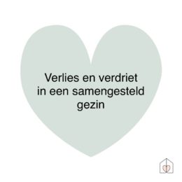verdrietenverliesineensg