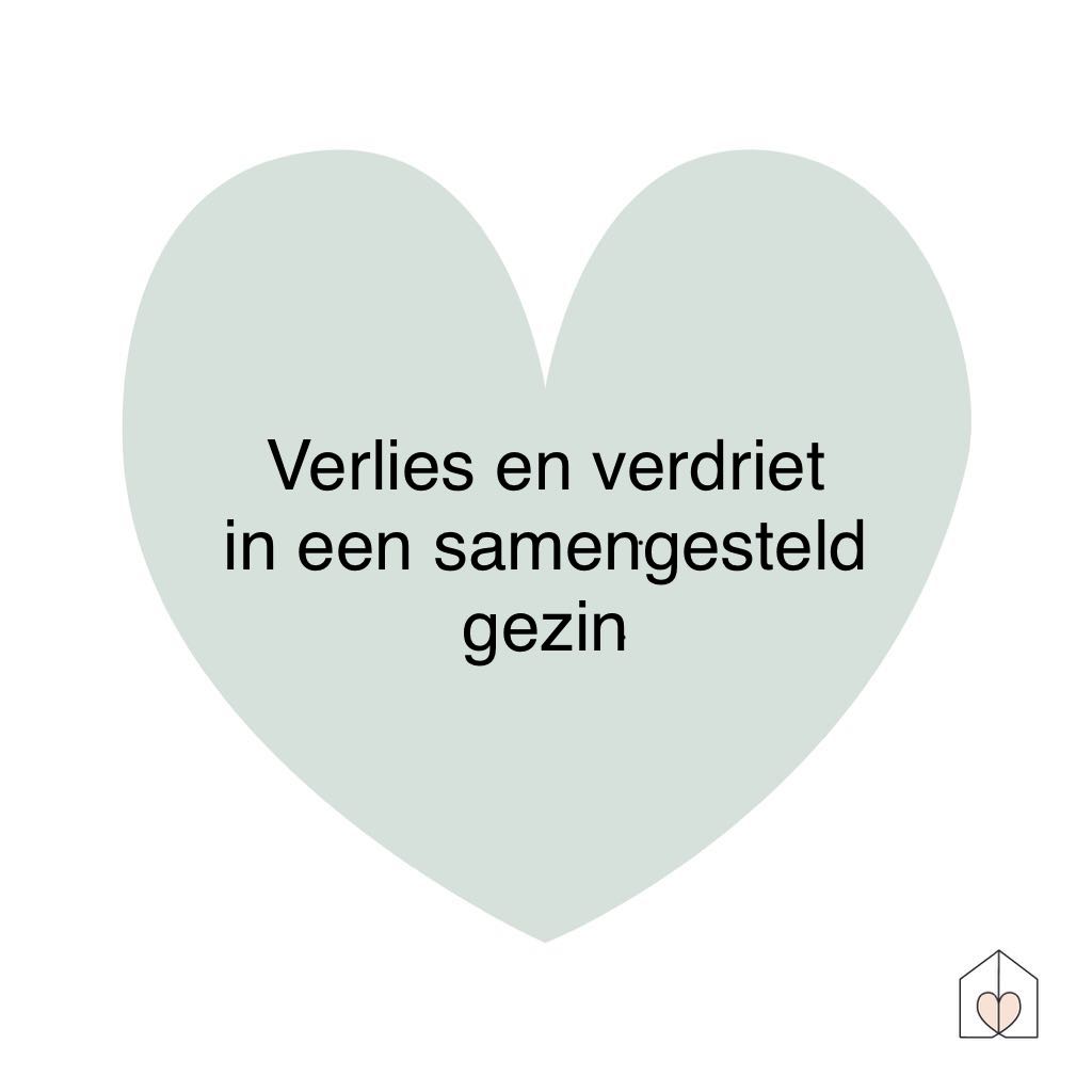 verdrietenverliesineensg